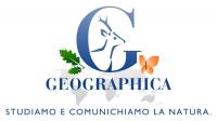 Geographica Srl