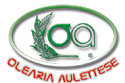 Olearia Aulettese di Pucciarelli Antonio & Figli